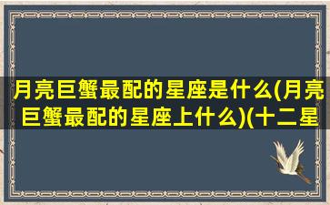 月亮巨蟹最配的星座是什么(月亮巨蟹最配的星座上什么)(十二星座最佳配对之月亮巨蟹座)