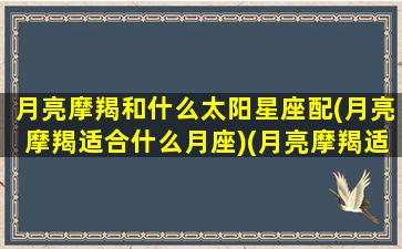 月亮摩羯和什么太阳星座配(月亮摩羯适合什么月座)(月亮摩羯适合的另一半)