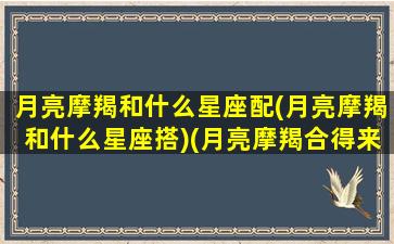 月亮摩羯和什么星座配(月亮摩羯和什么星座搭)(月亮摩羯合得来的月座)