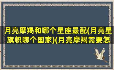 月亮摩羯和哪个星座最配(月亮星旗帜哪个国家)(月亮摩羯需要怎样的伴侣)