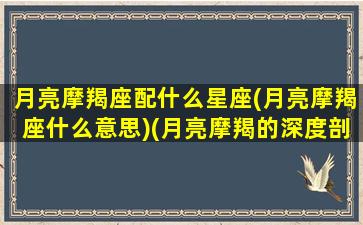 月亮摩羯座配什么星座(月亮摩羯座什么意思)(月亮摩羯的深度剖析)