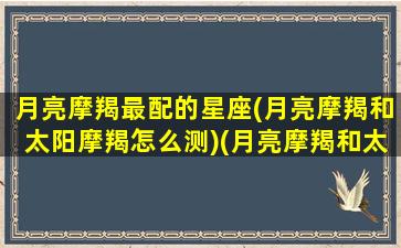 月亮摩羯最配的星座(月亮摩羯和太阳摩羯怎么测)(月亮摩羯和太阳摩羯区别)