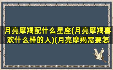 月亮摩羯配什么星座(月亮摩羯喜欢什么样的人)(月亮摩羯需要怎样的伴侣)