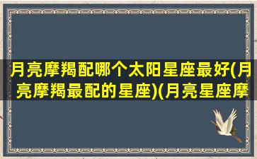 月亮摩羯配哪个太阳星座最好(月亮摩羯最配的星座)(月亮星座摩羯配对)
