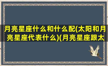 月亮星座什么和什么配(太阳和月亮星座代表什么)(月亮星座跟太阳星座是什么意思)