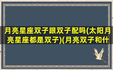 月亮星座双子跟双子配吗(太阳月亮星座都是双子)(月亮双子和什么月亮星座最配)