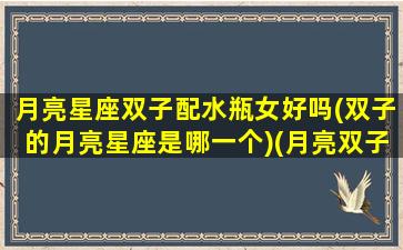 月亮星座双子配水瓶女好吗(双子的月亮星座是哪一个)(月亮双子和水瓶座)