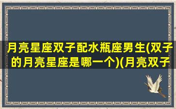 月亮星座双子配水瓶座男生(双子的月亮星座是哪一个)(月亮双子和月亮水瓶合吗)