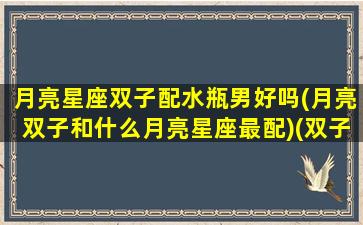 月亮星座双子配水瓶男好吗(月亮双子和什么月亮星座最配)(双子座月亮星座水瓶座女生)