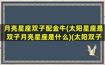 月亮星座双子配金牛(太阳星座是双子月亮星座是什么)(太阳双子月亮双子金星金牛)