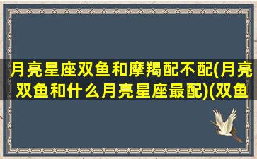 月亮星座双鱼和摩羯配不配(月亮双鱼和什么月亮星座最配)(双鱼座月亮星座摩羯座)