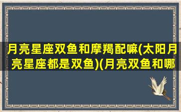 月亮星座双鱼和摩羯配嘛(太阳月亮星座都是双鱼)(月亮双鱼和哪个星座配)