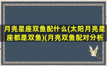 月亮星座双鱼配什么(太阳月亮星座都是双鱼)(月亮双鱼配对分析)