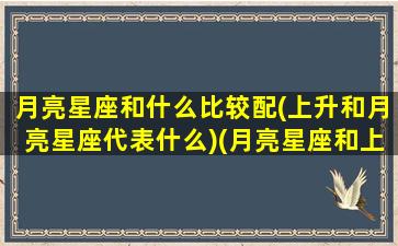 月亮星座和什么比较配(上升和月亮星座代表什么)(月亮星座和上升星座和太阳星座)