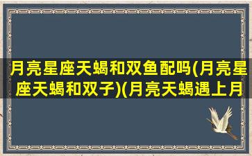 月亮星座天蝎和双鱼配吗(月亮星座天蝎和双子)(月亮天蝎遇上月亮双鱼)