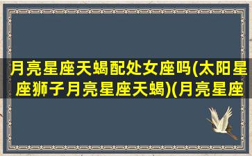 月亮星座天蝎配处女座吗(太阳星座狮子月亮星座天蝎)(月亮星座天蝎座和哪个最配)