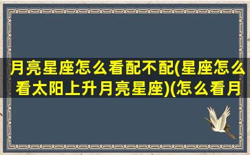 月亮星座怎么看配不配(星座怎么看太阳上升月亮星座)(怎么看月亮星座和上升星座)