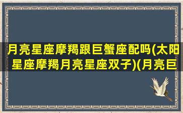 月亮星座摩羯跟巨蟹座配吗(太阳星座摩羯月亮星座双子)(月亮巨蟹月亮摩羯相冲)