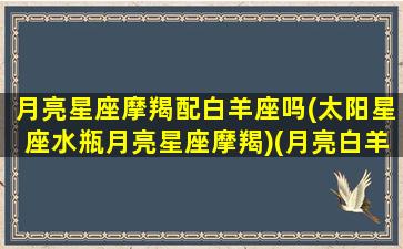 月亮星座摩羯配白羊座吗(太阳星座水瓶月亮星座摩羯)(月亮白羊和月亮摩羯谁厉害)