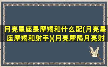 月亮星座是摩羯和什么配(月亮星座摩羯和射手)(月亮摩羯月亮射手配吗)