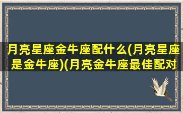 月亮星座金牛座配什么(月亮星座是金牛座)(月亮金牛座最佳配对)