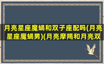 月亮星座魔蝎和双子座配吗(月亮星座魔蝎男)(月亮摩羯和月亮双子谁厉害)