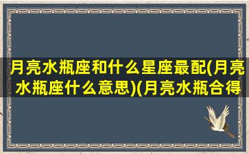 月亮水瓶座和什么星座最配(月亮水瓶座什么意思)(月亮水瓶合得来的星座)