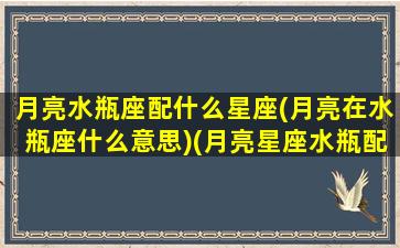 月亮水瓶座配什么星座(月亮在水瓶座什么意思)(月亮星座水瓶配对)