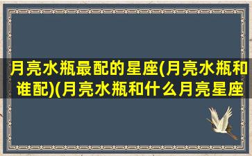月亮水瓶最配的星座(月亮水瓶和谁配)(月亮水瓶和什么月亮星座最配)