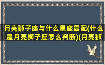 月亮狮子座与什么星座最配(什么是月亮狮子座怎么判断)(月亮狮子和哪个月亮星座最合适)