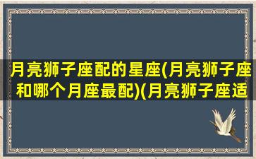 月亮狮子座配的星座(月亮狮子座和哪个月座最配)(月亮狮子座适合什么星座)