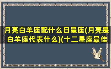 月亮白羊座配什么日星座(月亮是白羊座代表什么)(十二星座最佳配对之月亮白羊)