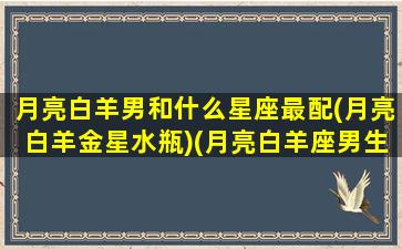 月亮白羊男和什么星座最配(月亮白羊金星水瓶)(月亮白羊座男生配对)