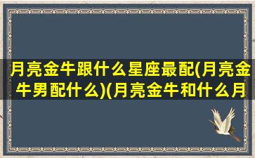 月亮金牛跟什么星座最配(月亮金牛男配什么)(月亮金牛和什么月亮星座最配)