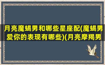 月亮魔蝎男和哪些星座配(魔蝎男爱你的表现有哪些)(月亮摩羯男的爱情观)