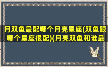 月双鱼最配哪个月亮星座(双鱼跟哪个星座很配)(月亮双鱼和谁最配)