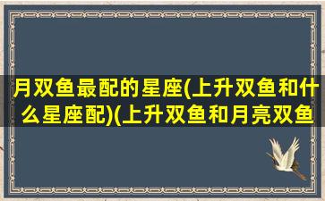 月双鱼最配的星座(上升双鱼和什么星座配)(上升双鱼和月亮双鱼)