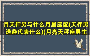 月天枰男与什么月星座配(天枰男逃避代表什么)(月亮天秤座男生)