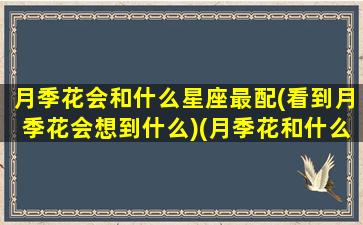 月季花会和什么星座最配(看到月季花会想到什么)(月季花和什么花种在一起最好)