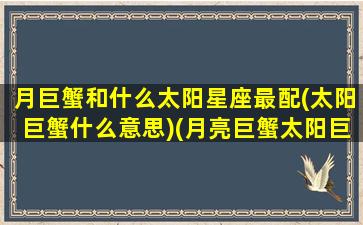 月巨蟹和什么太阳星座最配(太阳巨蟹什么意思)(月亮巨蟹太阳巨蟹区别)