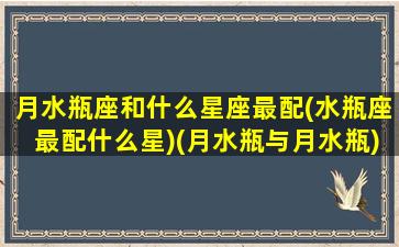 月水瓶座和什么星座最配(水瓶座最配什么星)(月水瓶与月水瓶)