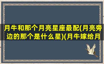 月牛和那个月亮星座最配(月亮旁边的那个是什么星)(月牛嫁给月蝎)