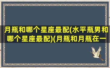 月瓶和哪个星座最配(水平瓶男和哪个星座最配)(月瓶和月瓶在一起)