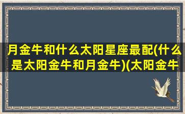 月金牛和什么太阳星座最配(什么是太阳金牛和月金牛)(太阳金牛座月亮金牛座)