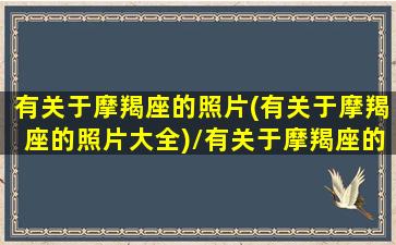 有关于摩羯座的照片(有关于摩羯座的照片大全)/有关于摩羯座的照片(有关于摩羯座的照片大全)-我的网站