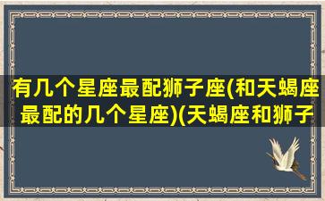 有几个星座最配狮子座(和天蝎座最配的几个星座)(天蝎座和狮子座哪个星座最厉害)