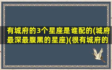 有城府的3个星座是谁配的(城府最深最腹黑的星座)(很有城府的星座)