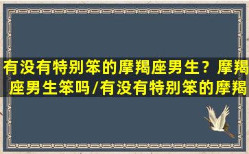 有没有特别笨的摩羯座男生？摩羯座男生笨吗/有没有特别笨的摩羯座男生？摩羯座男生笨吗-我的网站