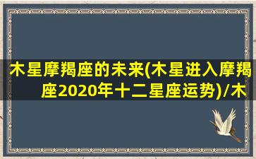 木星摩羯座的未来(木星进入摩羯座2020年十二星座运势)/木星摩羯座的未来(木星进入摩羯座2020年十二星座运势)-我的网站