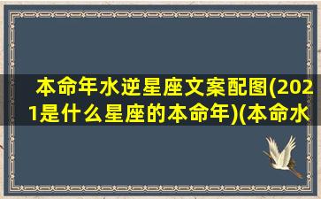 本命年水逆星座文案配图(2021是什么星座的本命年)(本命水星逆行什么意思)